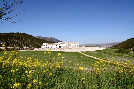 Joya: Arte y Ecología, Residency @ Cortijada Los Gázquez, Andalucía, Spain, June 3-14