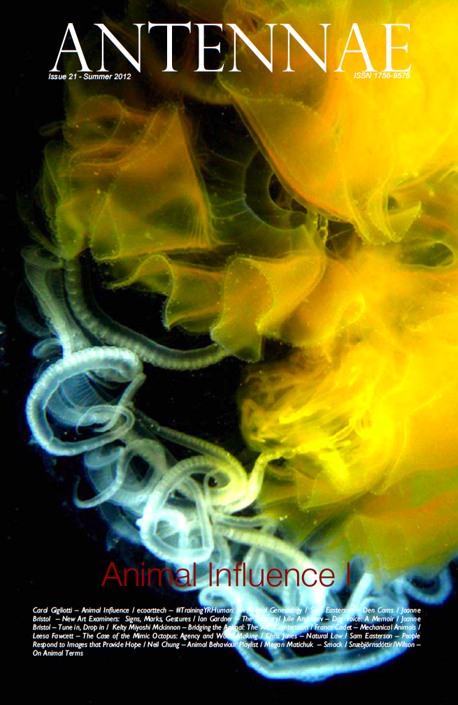 Article about the role of animals in our work published in Antennae: The Journal of Nature in Visual Culture, June 2012