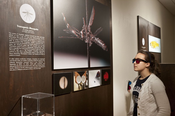 “Art and Science Get Intimate,” Review of “Intimate Science” Exhibition at the Miller Gallery, Hyperallergic, April 2012