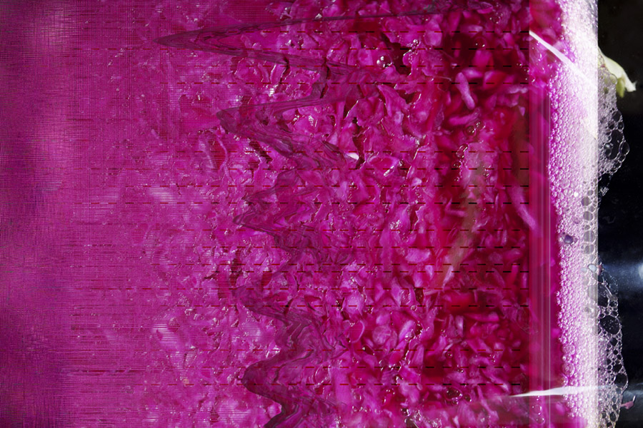 Ferment_Selfies2_SITE_900px