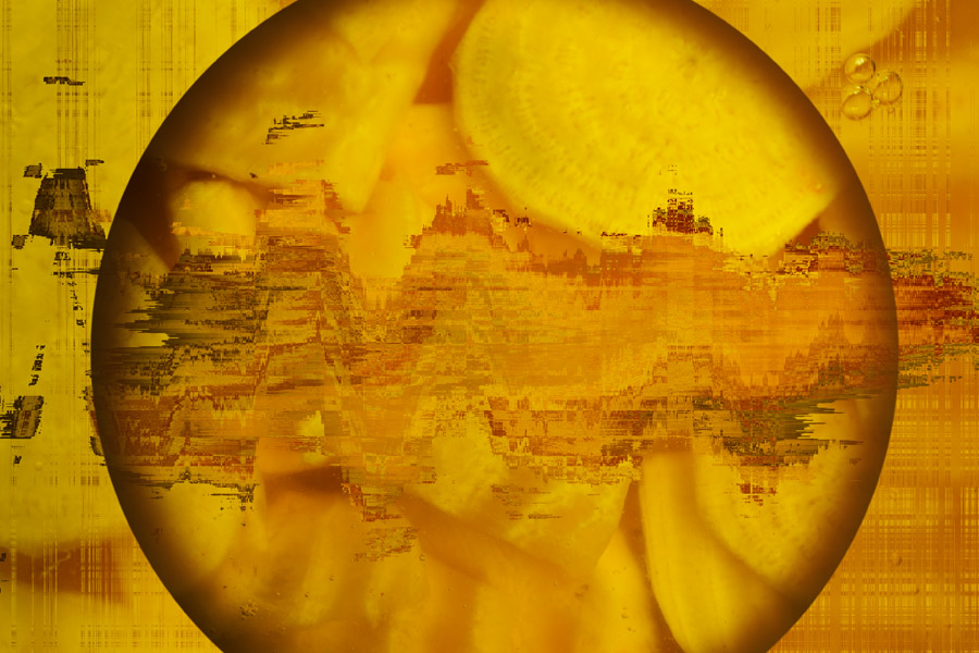 Ferment_Selfies4_SITE_900px