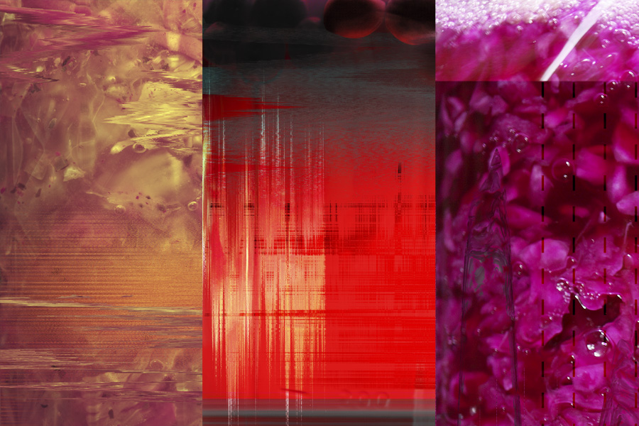 OS Fermentation 'Selfies'