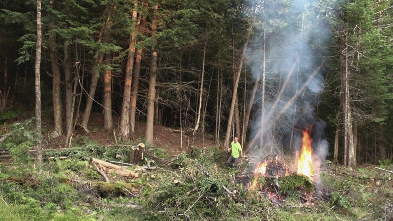 food convenience labor luxury